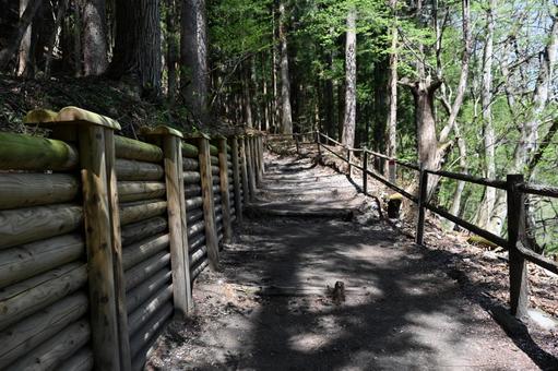 Scenery of the walking trail at Fukiware Falls in Numata, Gunma Prefecture, fubuzi waterfall, scattered road, the trees, JPG