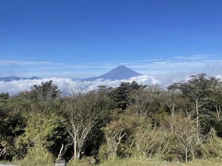 富士山 富士山の写真