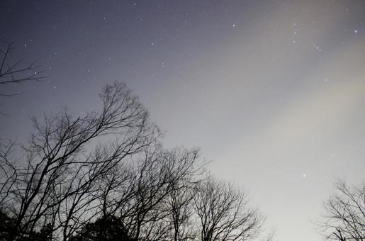 静寂の夜空と木々のシルエット 夜空,星空,星の写真素材