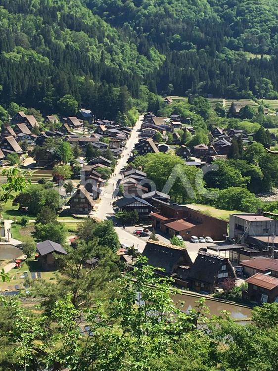 白川郷全景　５月 白川郷,合掌造り,５月の写真素材