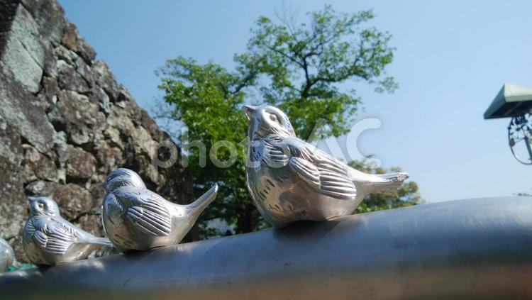 スズメの鋳物がついた車止め_2 車止め,ピコリーノ,柵の写真素材