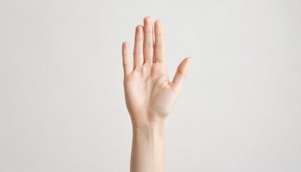 手のひら 女性3 手のひら 女性3の写真