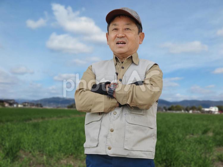 農業の男性と麦畑 農家,農業,農作業の写真素材
