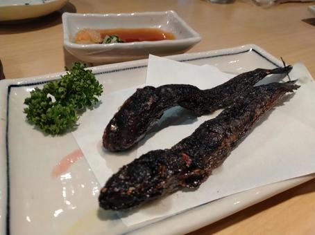 ムツゴロウ 有明海,ムツゴロウ,ハゼの写真素材