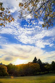 広がる空⑥ 空,夕焼け,グラデーションの写真素材
