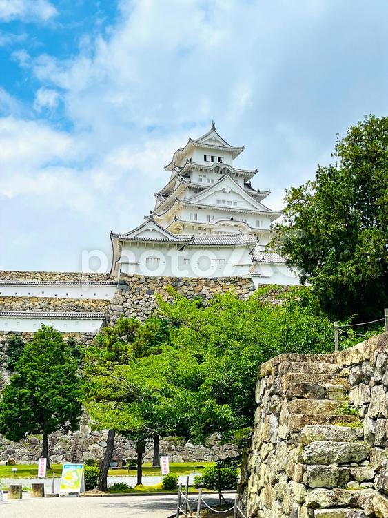 国宝　姫路城　天守閣を東側から望む 姫路城,天守閣,国宝の写真素材