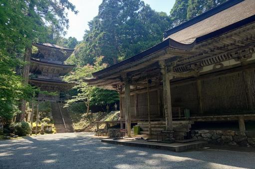 福井県-明通寺-国宝-本堂と三重塔 福井県-明通寺-国宝-本堂と三重塔 明通寺,寺,棡山の写真素材