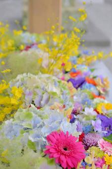 花手水 花手水の写真