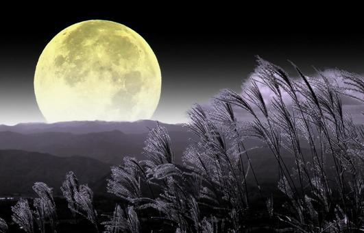 Autumn image material/Mid-Autumn Festival and Moon Viewing, JPG