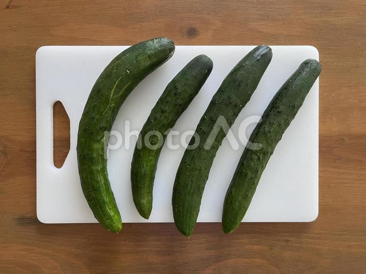 きゅうり4本 きゅうり,野菜,ベジタブルの写真素材