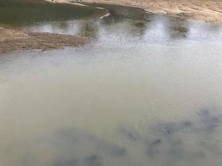 梅雨で増水する河川 梅雨で増水する河川の写真