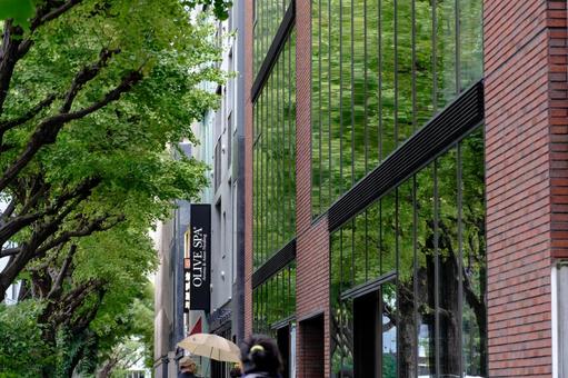 ［東京都港区］プラチナ通り｜白金台 白金台,白金,プラチナ通りの写真素材