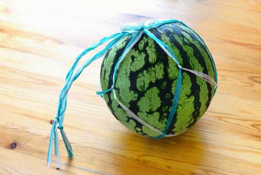 すいかネットで持ちやすい すいかネットで持ちやすいの写真