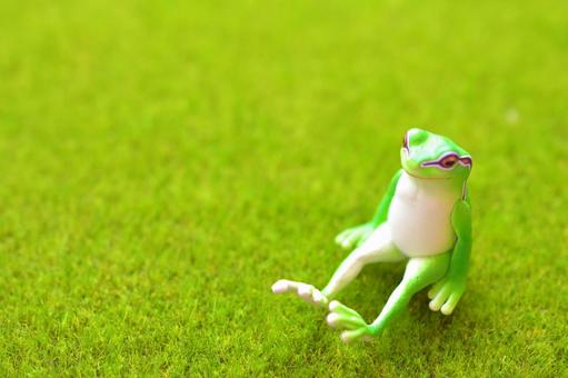 カエル リラックスのイメージ カエル リラックスのイメージの写真