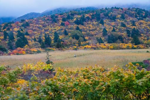 名残ヶ原湿原と紅葉の山肌 名残ヶ原湿原と紅葉の山肌 秋,紅葉,黄葉の写真素材