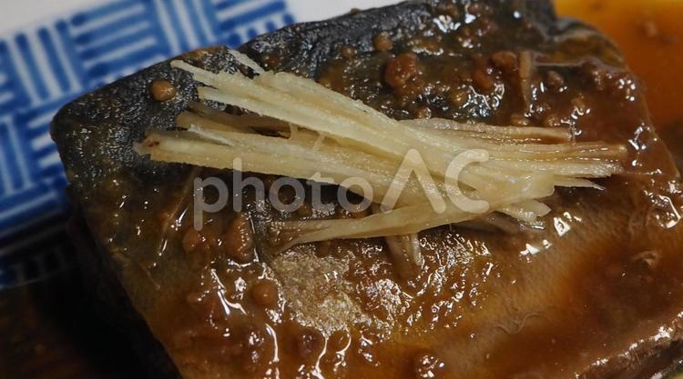 サバの味噌煮にのったはり生姜ゆ 生姜,針生姜,はり生姜の写真素材