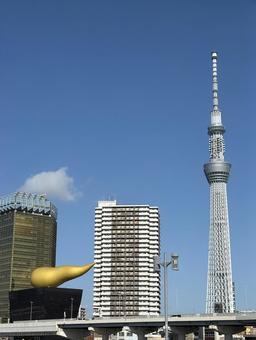 スカイツリーと聖火台の炎 スカイツリーと聖火台の炎の写真