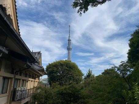 寺とスカイツリー 寺とスカイツリーの写真