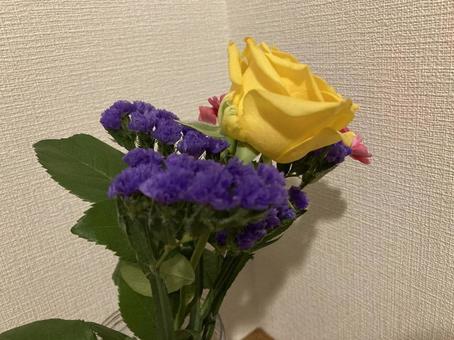 花たち 花たちの写真