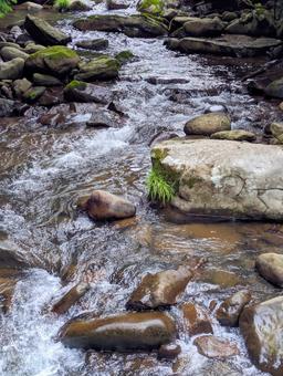 夏の渓流 渓流,夏,川の写真素材