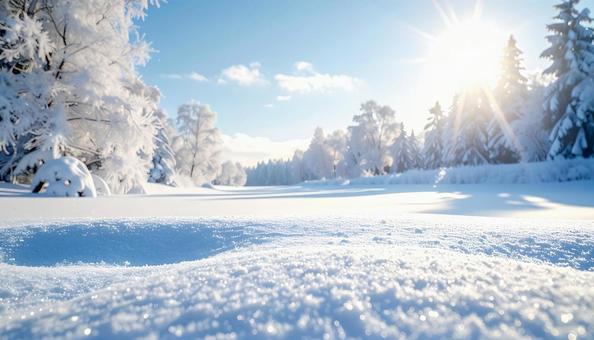 きらめく雪原と冬の森 きらめく雪原と冬の森の写真