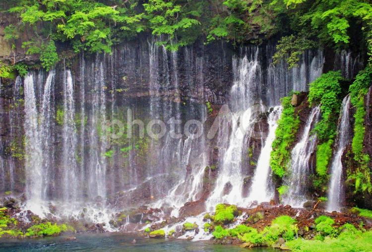 白糸の滝５ 白糸の滝,滝,伏流水の写真素材