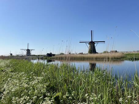 キンデルダイク＝エルスハウトの風車網 キンデルダイク,風車,オランダの写真素材