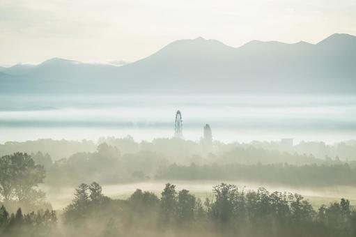 朝靄の中の観覧車と一本の木 朝靄の中の観覧車と一本の木 風景,景色,自然の写真素材