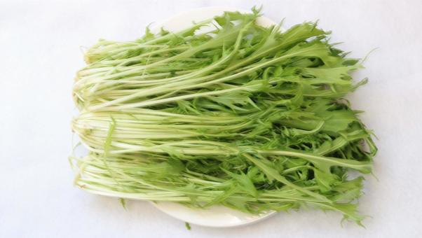 野菜の水菜 野菜,グリーン,フリルの写真素材