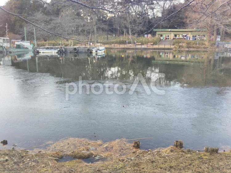 凍てつく池 不幸,何人もありません,冬の写真素材