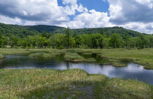 尾瀬の湿原と池と遠景の山 尾瀬,湿原,風景の写真素材