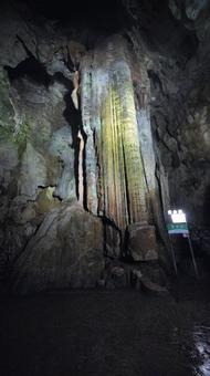 黄金柱 黄金柱 秋芳洞,洞窟,山口の写真素材
