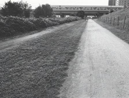 懐かしの風景 懐かしの風景 土手,電車,河原の写真素材
