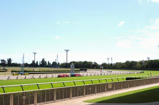 晴れた日の新潟競馬場 ホームストレッチ 晴れた日の新潟競馬場 ホームストレッチの写真