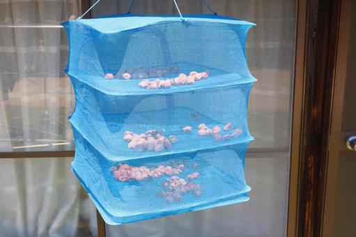 Doyo drying, JPG