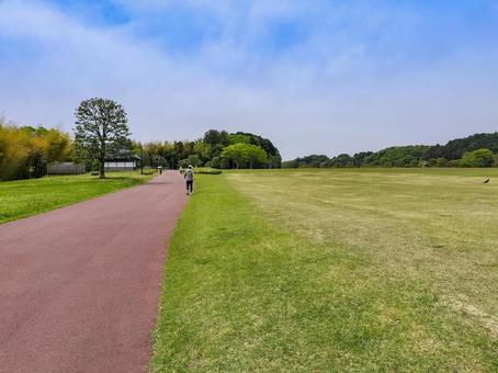 偕楽園公園の四季の原 偕楽園公園の四季の原 偕楽園公園,常磐公園,四季の原の写真素材