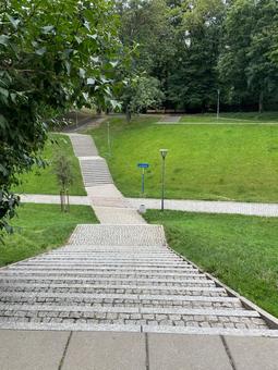 ワルシャワの公園 ワルシャワの公園 ワルシャワの公園,公園,ワルシャワの写真素材