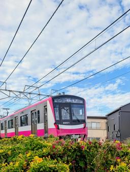 京成電鉄松戸線の車両(元・新京成線) 京成電鉄松戸線の車両(元・新京成線) 京成電鉄,松戸線,新京成の写真素材