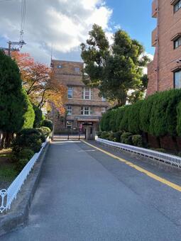 京都府立鳥羽高等学校 京都二中,グローバル科,東寺の写真素材