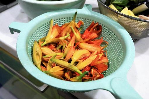 รูปถ่าย, yabukanzou, fulva hemerocallis, หญ้าป่าจะกิน, 