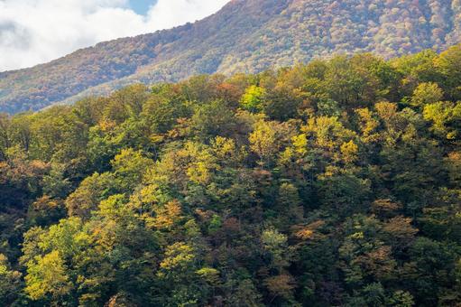 蔵王の紅葉⑼の写真