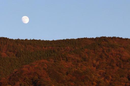 夕焼けに照らされる紅葉が始まった山の木々 秋,紅葉,山の写真素材