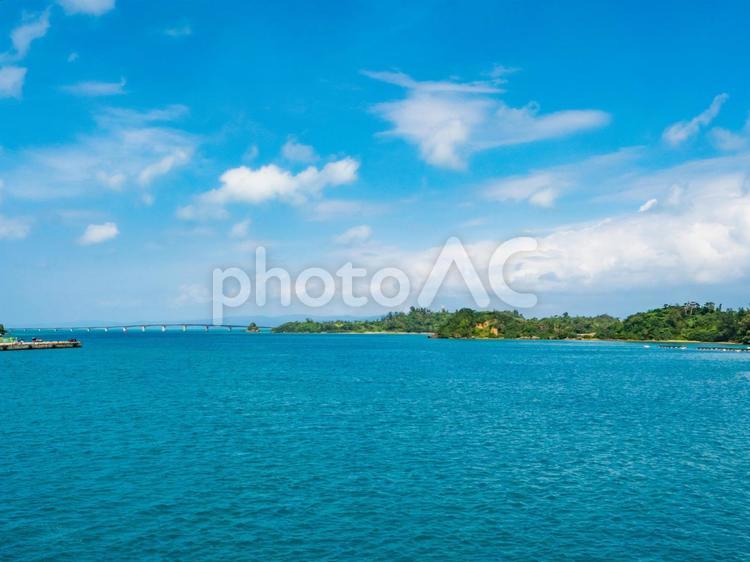沖縄の海　古宇利大橋 古宇利大橋,古宇利島,海の写真素材