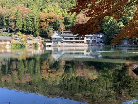紅葉と湖 紅葉,秋,湖の写真素材