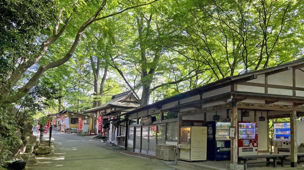 坂東33観音 16番 水澤寺 参道の風景 坂東33観音 16番 水澤寺 参道の風景の写真