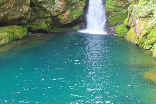【高知県】にこ淵 【高知県】にこ淵の写真