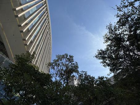 青空と高層ビル 大阪,高層ビル,ビルの写真素材