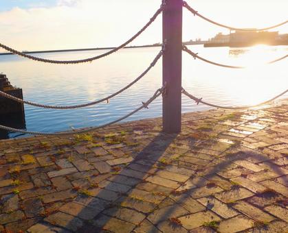 朝の光in港公園 朝の光in港公園の写真