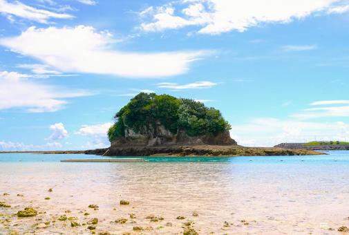 南国ビーチの小島 南国ビーチの小島の写真