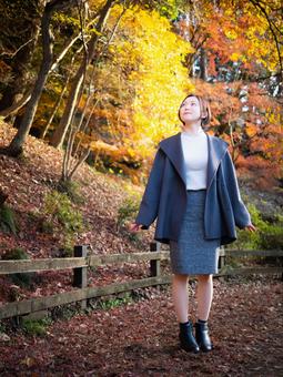 31:紅葉の公園を散策する女性 31:紅葉の公園を散策する女性の写真
